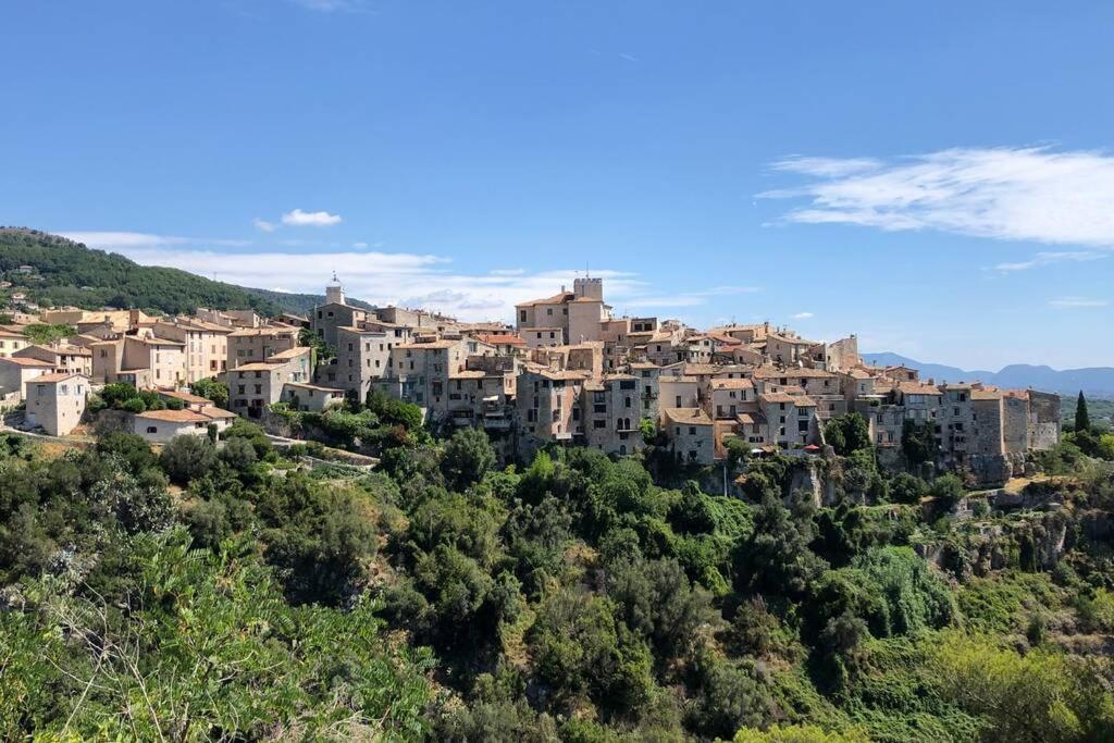 Appartement Au Calme Dans Un Espace Arbore Tourrettes-sur-Loup Eksteriør billede